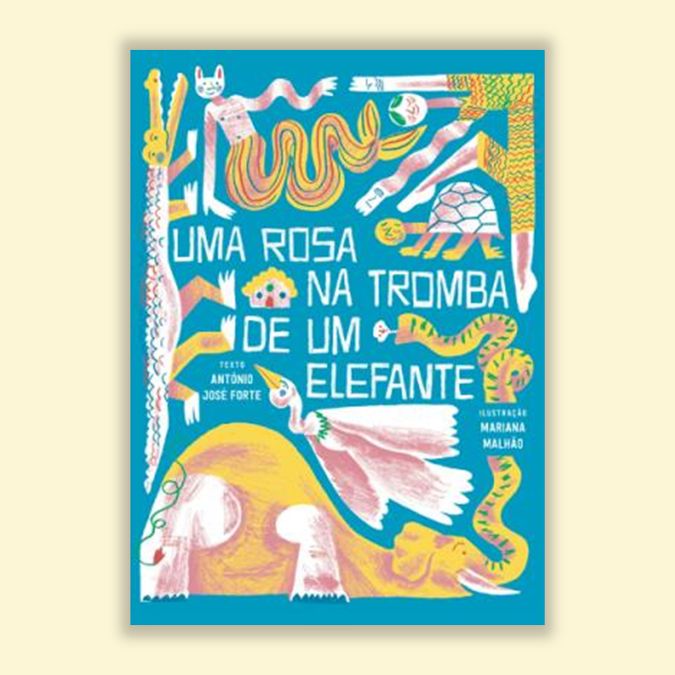 capa do livro